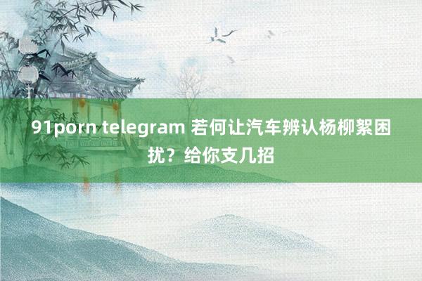 91porn telegram 若何让汽车辨认杨柳絮困扰？给你支几招
