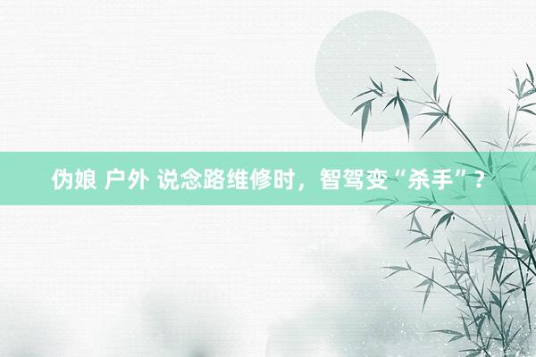 伪娘 户外 说念路维修时，智驾变“杀手”？