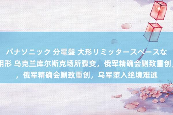 パナソニック 分電盤 大形リミッタースペースなし 露出・半埋込両用形 乌克兰库尔斯克场所骤变，俄军精确会剿致重创，乌军堕入绝境难逃