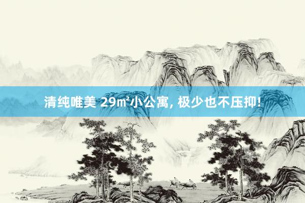 清纯唯美 29㎡小公寓， 极少也不压抑!