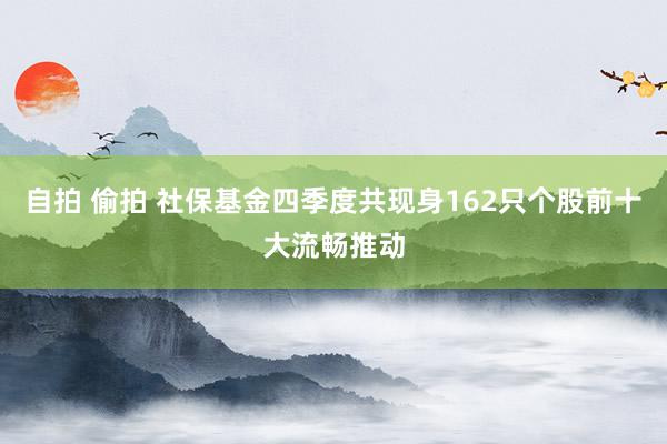 自拍 偷拍 社保基金四季度共现身162只个股前十大流畅推动