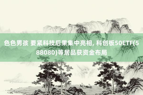 色色男孩 要紧科技后果集中亮相， 科创板50ETF(588080)等居品获资金布局
