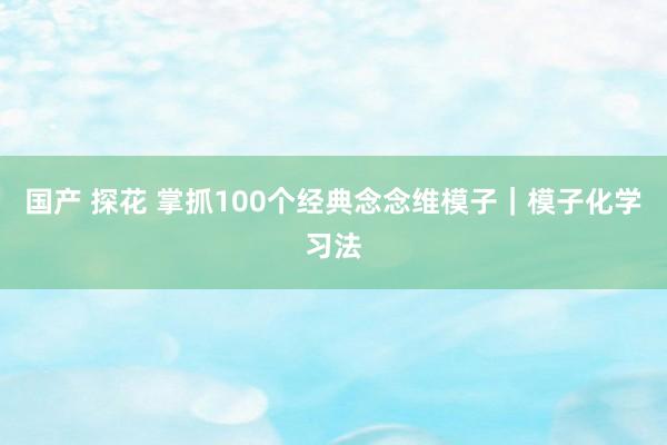 国产 探花 掌抓100个经典念念维模子｜模子化学习法