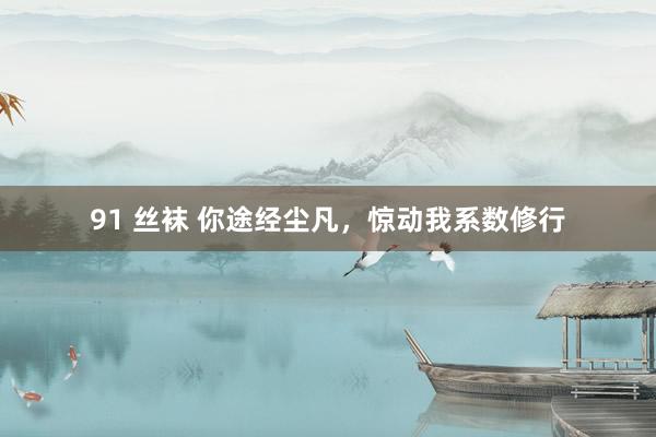 91 丝袜 你途经尘凡，惊动我系数修行