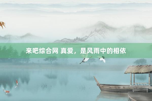 来吧综合网 真爱，是风雨中的相依