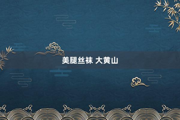 美腿丝袜 大黄山