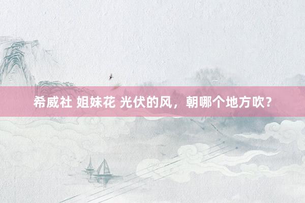 希威社 姐妹花 光伏的风，朝哪个地方吹？
