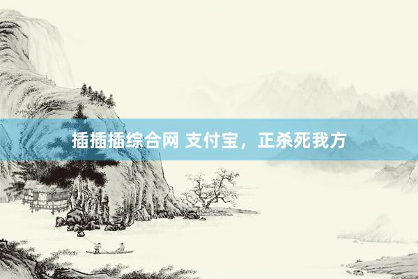 插插插综合网 支付宝，正杀死我方
